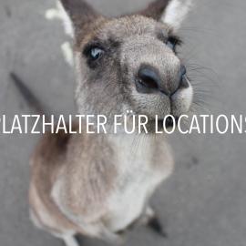 Platzhalter