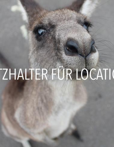 Platzhalter